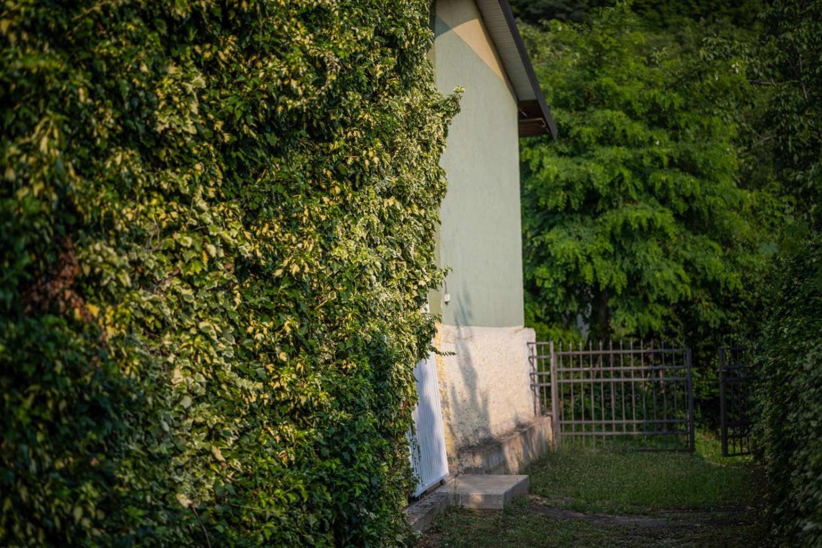 Vacation Home Rot Ohrid Bagian luar foto